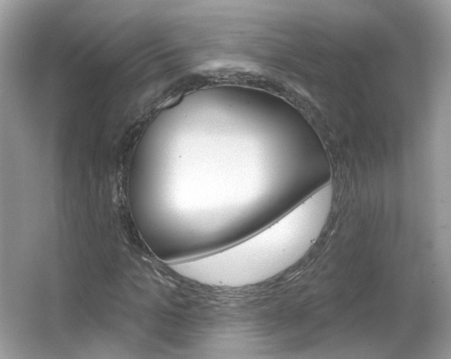 X0000066120965200603101037