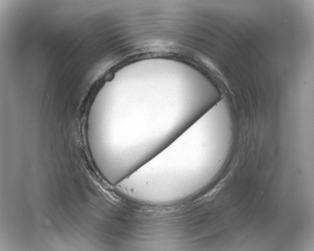 X0000066120970200603101037