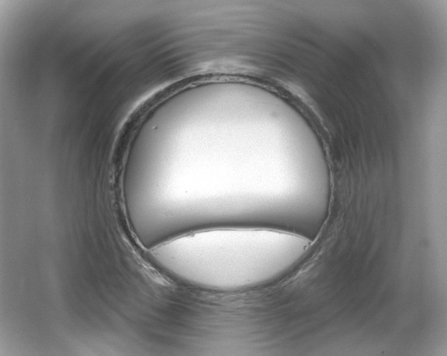 X0000066120971200603101037