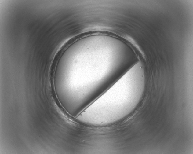 X0000066120972200603101037