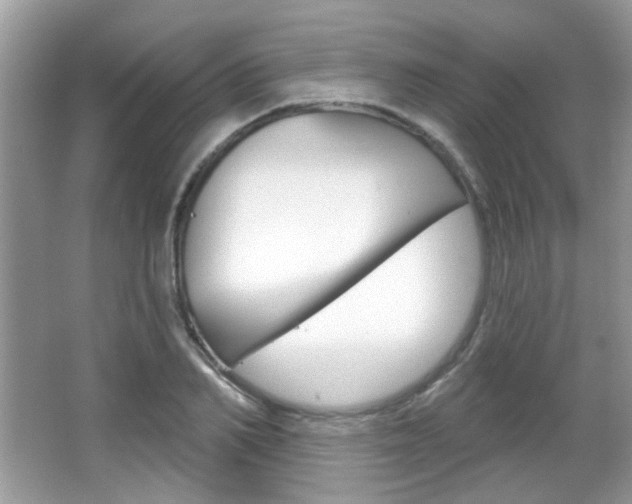 X0000066120982200603101037