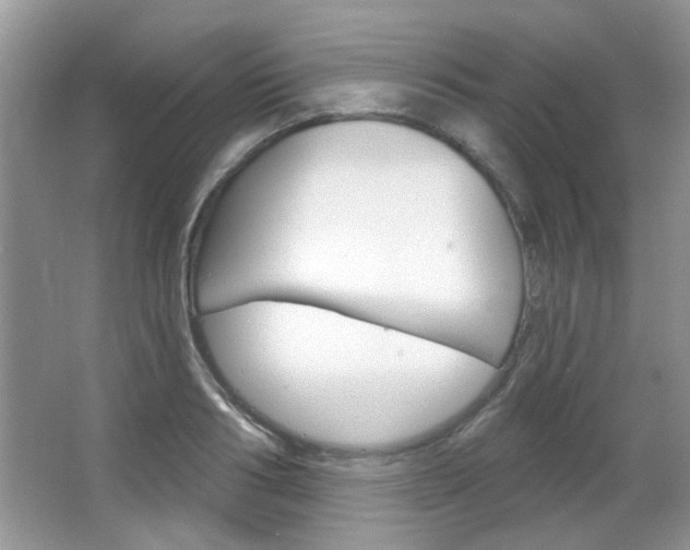 X0000066120986200603101037