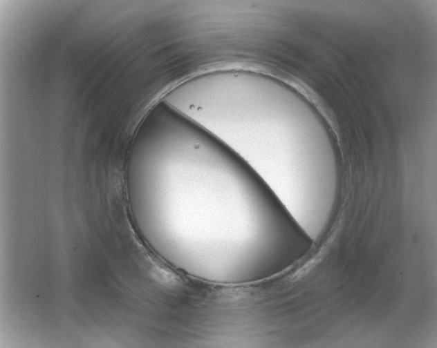X0000066120993200603101037
