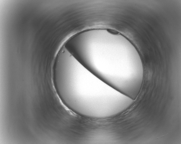 X0000066121006200603101037