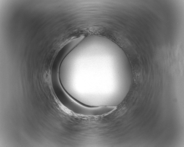 X0000066121010200603101036