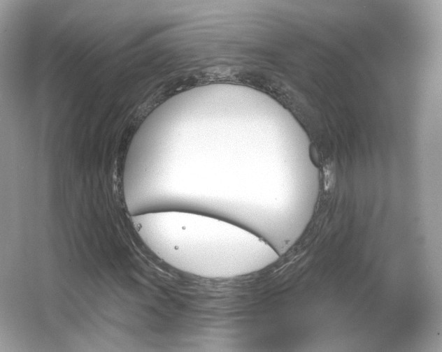 X0000066121011200603101036