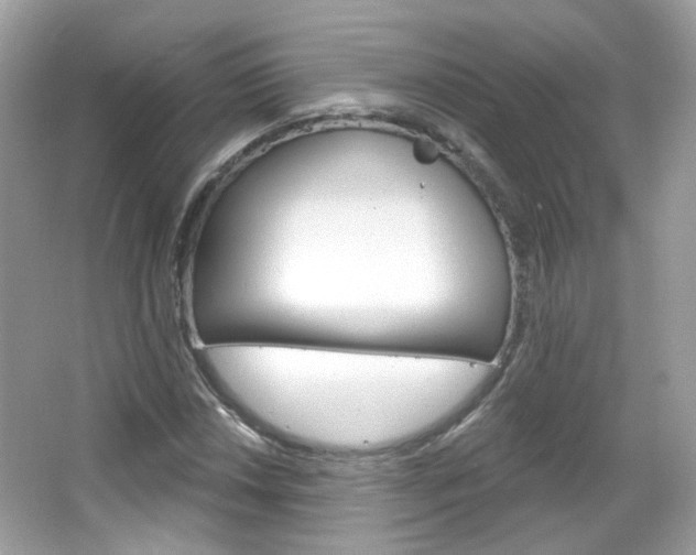 X0000066121018200603101036