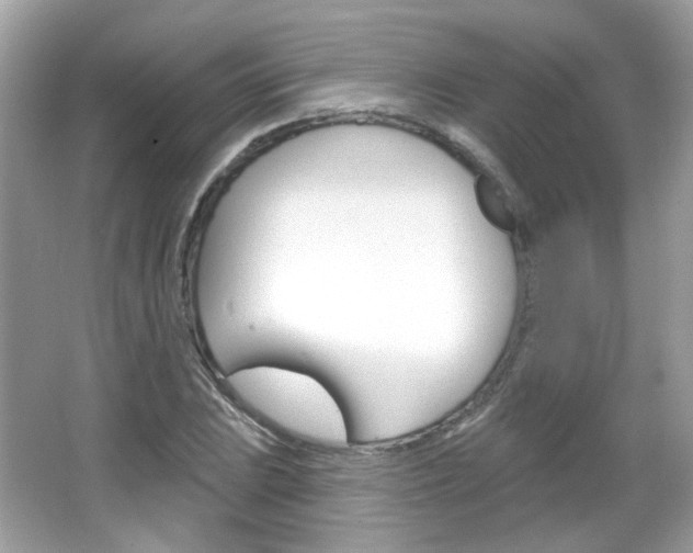X0000066121023200603101036