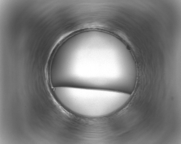 X0000066121032200603101036