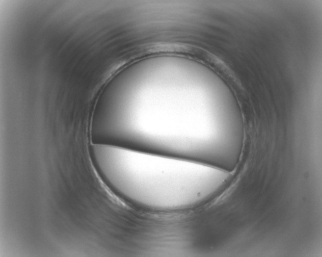 X0000066121033200603101036