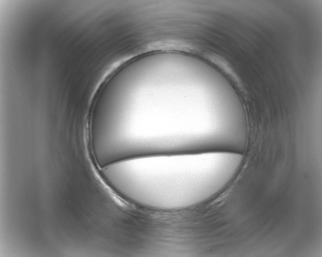 X0000066121040200603101036