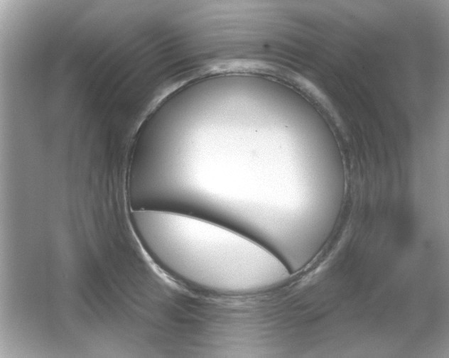 X0000066121041200603101036