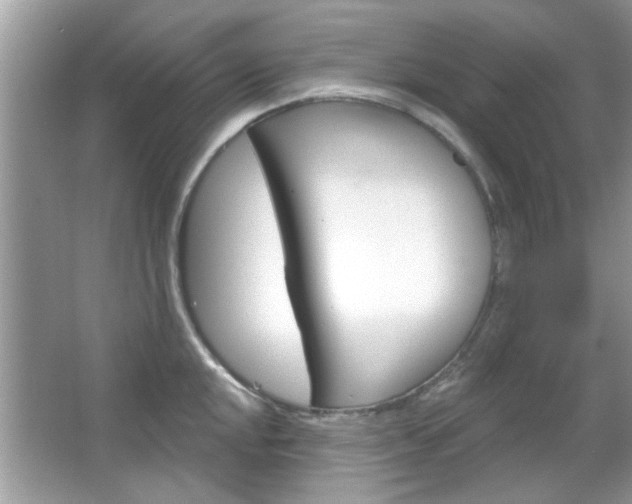 X0000066121048200603101036