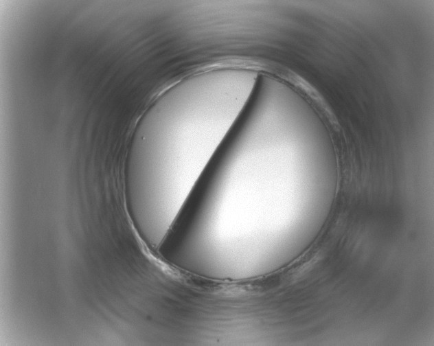 X0000066121049200603101036