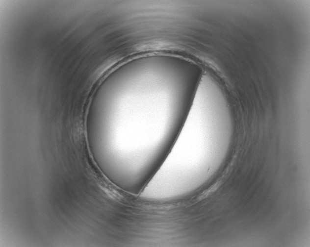 X0000066121073200603101035