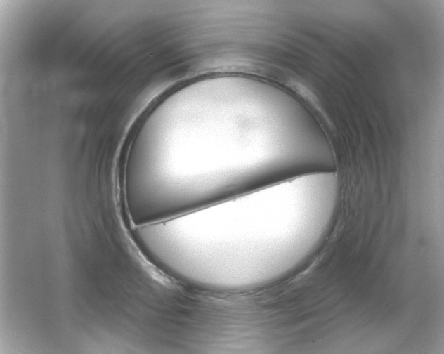X0000066121082200603101035