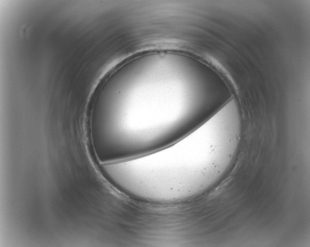 X0000066121085200603101035