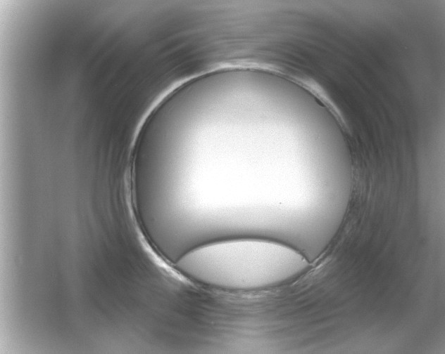 X0000066121100200603101035