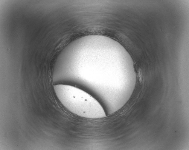 X0000066121107200603101034