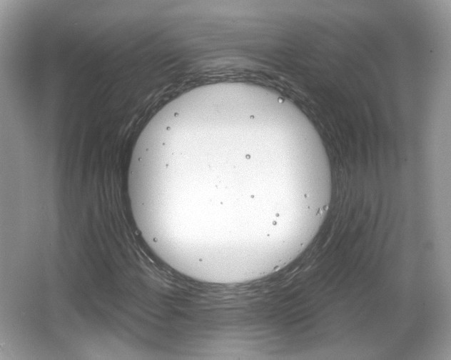 X0000066121108200603101034
