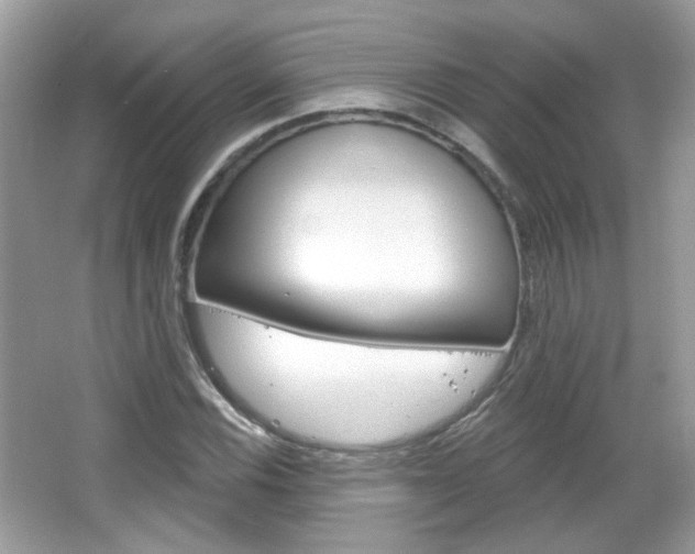 X0000066121116200603101034