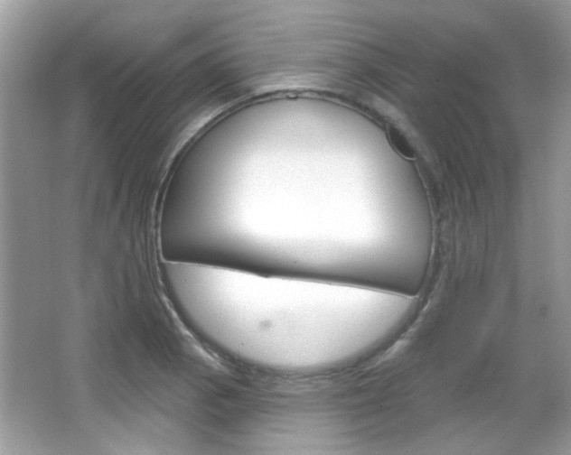 X0000066121129200603101034