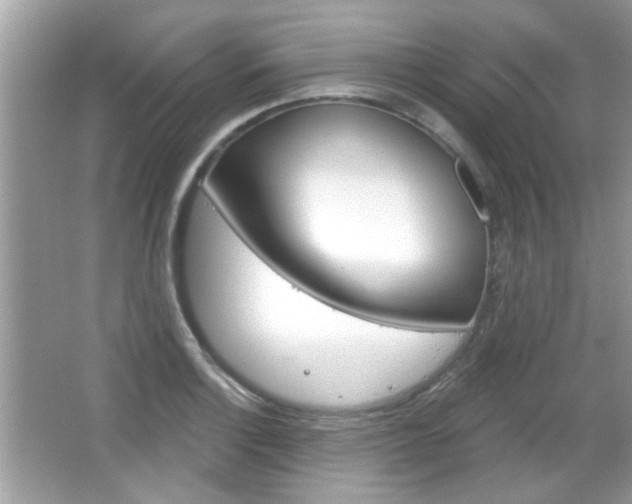 X0000066121132200603101034