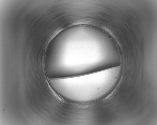X0000066121137200603101035