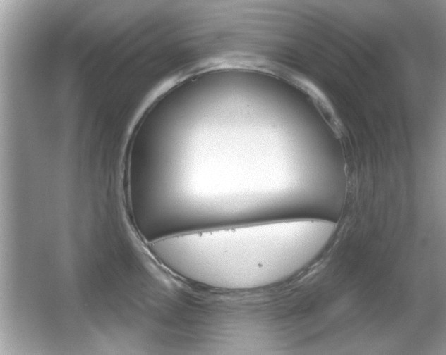 X0000066121146200603101035