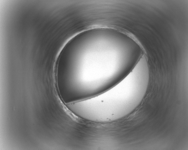 X0000066121148200603101035