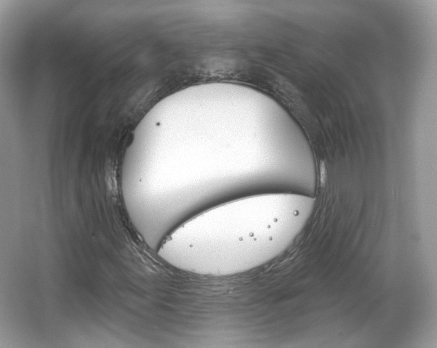 X0000066121155200603101034