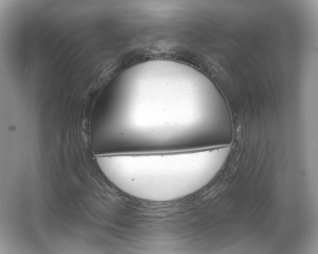 X0000066121156200603101034
