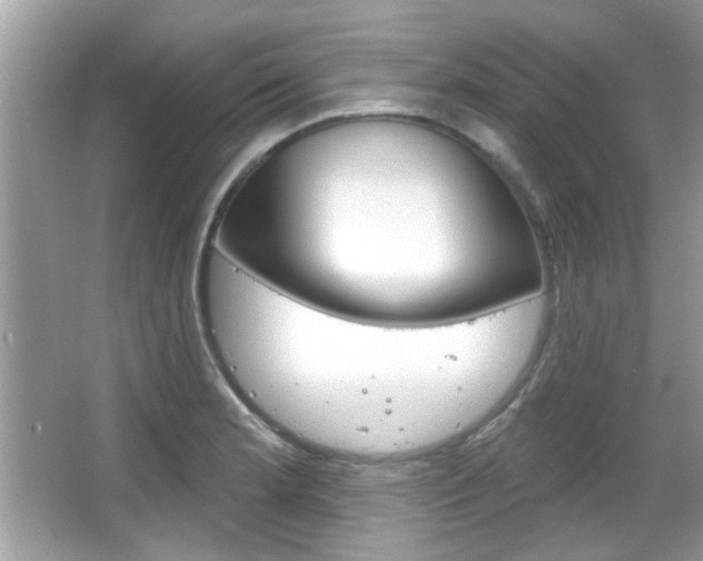 X0000066121181200603101034