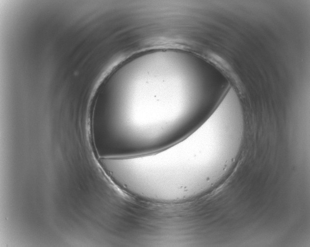 X0000066121188200603101033