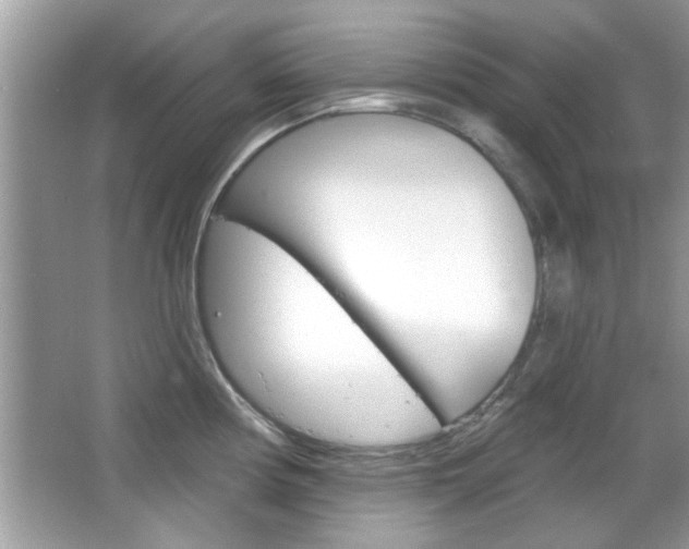 X0000066121194200603101033