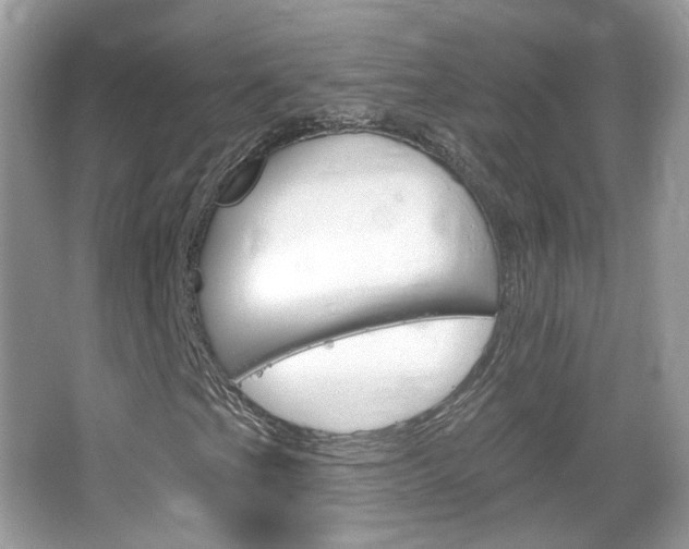 X0000066121201200603101032