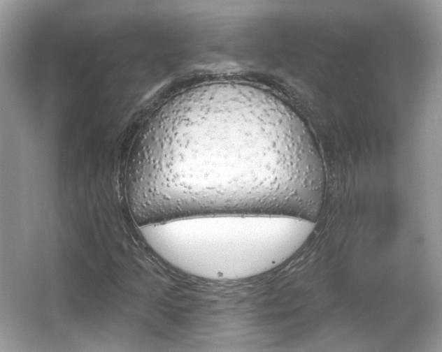 X0000066121205200603101032