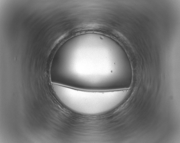 X0000066121210200603101033
