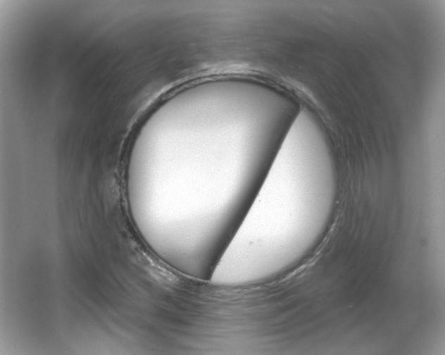 X0000066121212200603101033