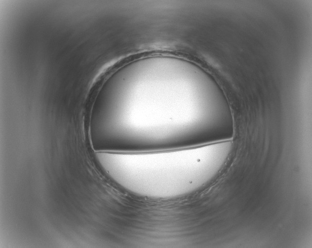 X0000066121214200603101033