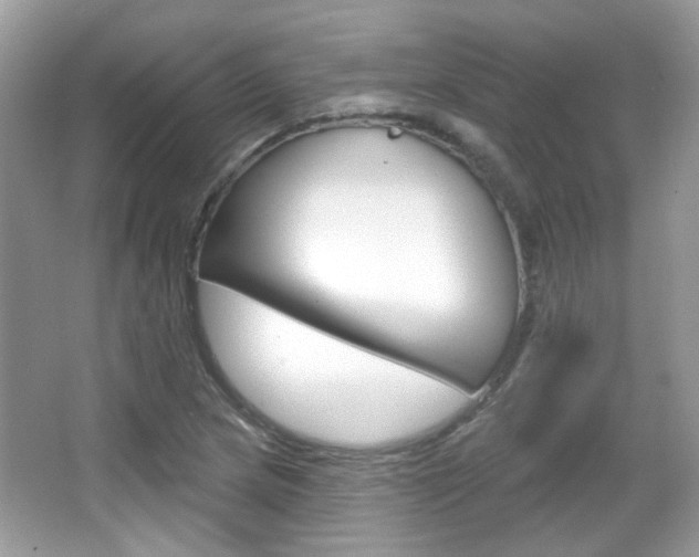 X0000066121217200603101033