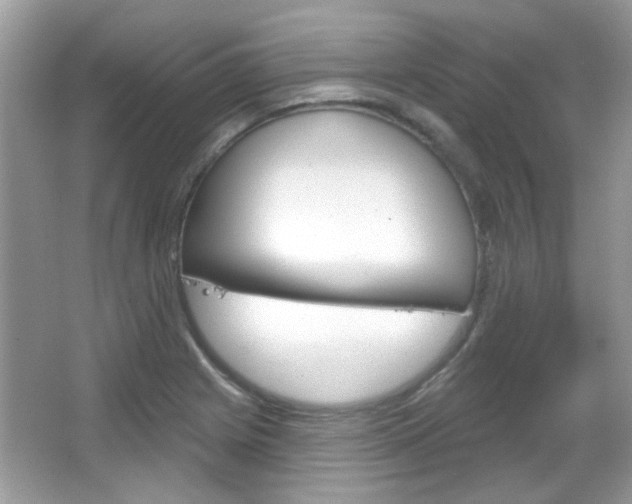 X0000066121225200603101033