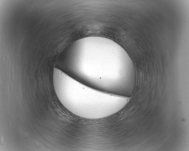 X0000066121250200603101032