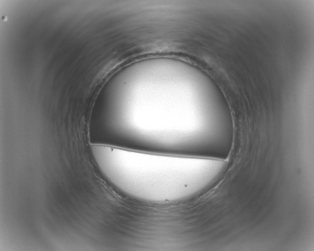 X0000066121265200603101032