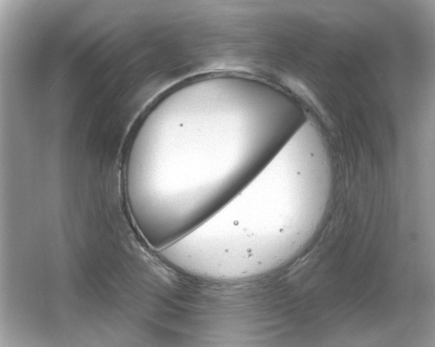 X0000066121268200603101032