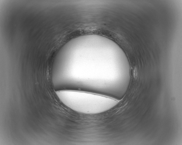 X0000066121299200603101031