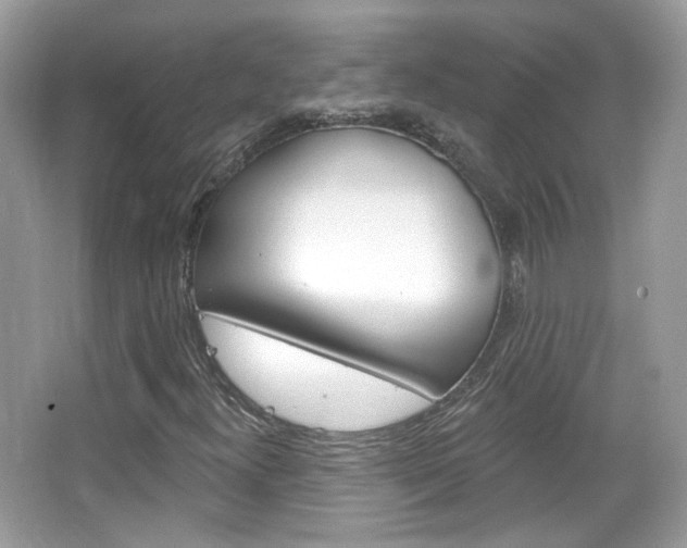 X0000066121300200603101031