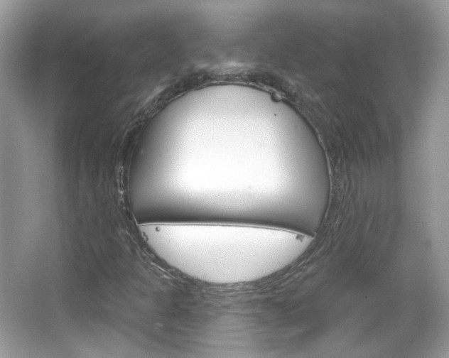X0000066121301200603101031