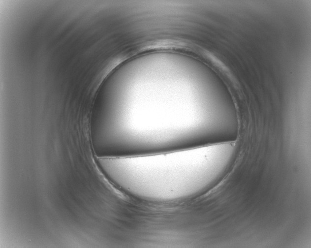 X0000066121329200603101031