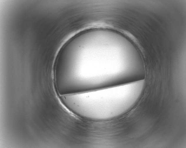 X0000066121335200603101031
